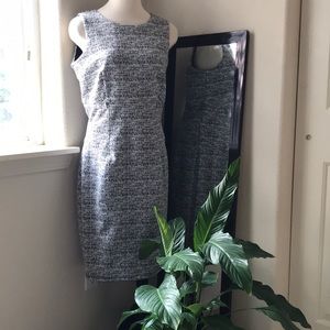 Petite Black & White Shift Dress Sz 8P EUC ENFOCUS Brand